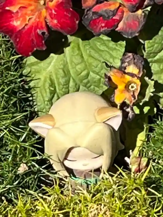 高円寺氷川神社(東京都)