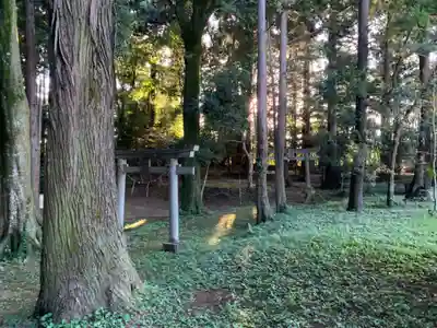 諏訪神社(千葉県)