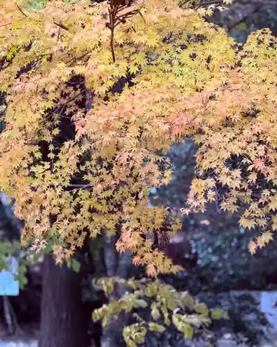 明通寺(福井県)