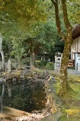 萬年山保国寺(愛媛県)