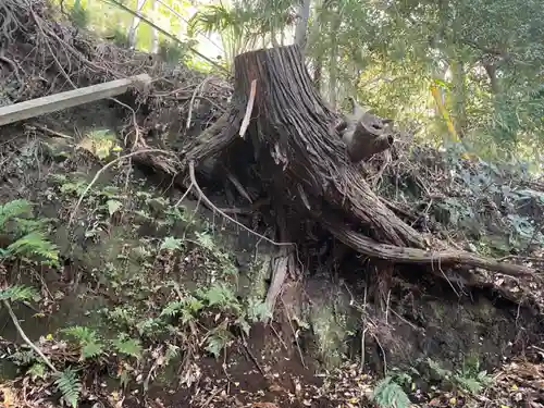 十二天神社の自然