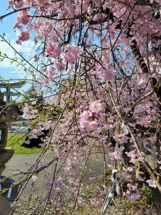 千代神社(滋賀県)