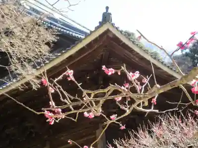 妙本寺のその他建物