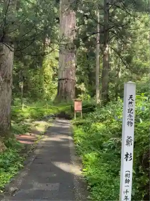 羽黒山五重塔(出羽三山神社)(山形県)