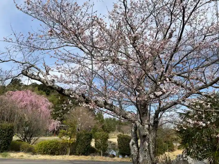 大生郷天満宮の自然