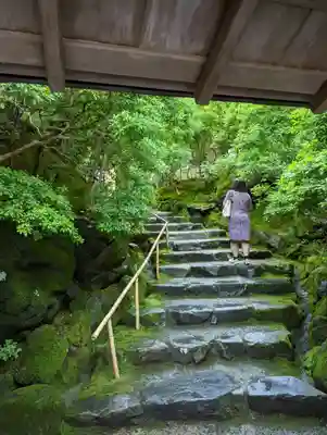 光明寺瑠璃光院(京都府)
