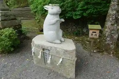 出雲大神宮の狛犬