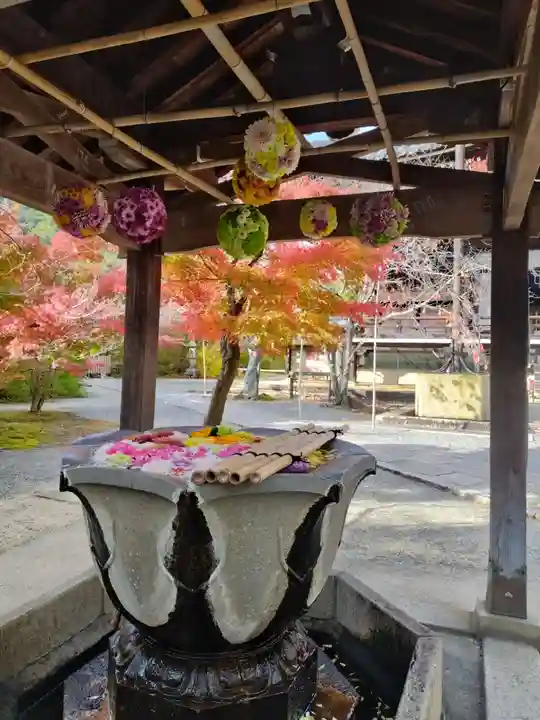 光明寺(粟生光明寺)(京都府)