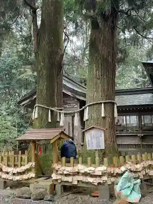 高千穂神社の{uncategorized: "未分類", other: "その他", undefined: "問題あり", building: "その他建物", grave: "お墓", sacred_gate: "鳥居", guardian: "狛犬", statue: "像", buddha: "仏像", history: "歴史", nature: "自然", garden: "庭園", animal: "動物", pagoda: "塔", temizu: "手水舎", mountain_gate: "山門・神門", sanctuary: "本殿・本堂", subordinate: "末社・摂社", art: "芸術", scenery: "景色", jizo: "地蔵", ema: "絵馬", goshuin: "御朱印", omikuji: "おみくじ", items: "授与品その他", amulet: "お守り", goshuincho: "御朱印帳", eats: "食事", festival: "お祭り", votive_dance: "神楽", shichigosan: "七五三参", wedding: "結婚式", experience: "体験その他", initially: "初詣", around: "周辺", anti_infection: "感染症対策"}