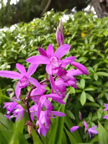福井神社(福井県)