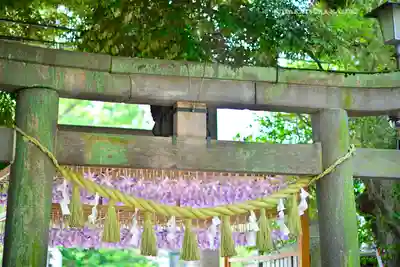川越氷川神社(埼玉県)