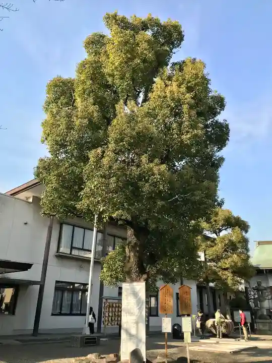亀戸 香取神社(東京都)