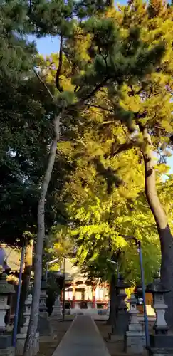 柴又八幡神社のその他建物