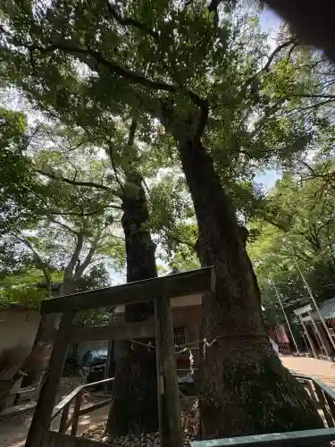 河邊七種神社(三重県)