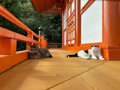 龍泉寺(愛知県)