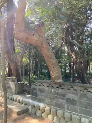 鎌田神明宮(静岡県)