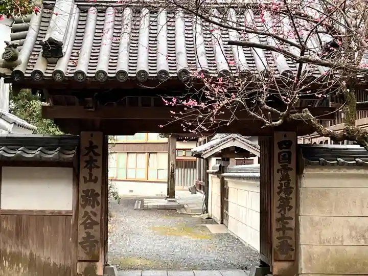 弥谷寺の{uncategorized: "未分類", other: "その他", undefined: "問題あり", building: "その他建物", grave: "お墓", sacred_gate: "鳥居", guardian: "狛犬", statue: "像", buddha: "仏像", history: "歴史", nature: "自然", garden: "庭園", animal: "動物", pagoda: "塔", temizu: "手水舎", mountain_gate: "山門・神門", sanctuary: "本殿・本堂", subordinate: "末社・摂社", art: "芸術", scenery: "景色", jizo: "地蔵", ema: "絵馬", goshuin: "御朱印", omikuji: "おみくじ", items: "授与品その他", amulet: "お守り", goshuincho: "御朱印帳", eats: "食事", festival: "お祭り", votive_dance: "神楽", shichigosan: "七五三参", wedding: "結婚式", experience: "体験その他", initially: "初詣", around: "周辺", anti_infection: "感染症対策"}