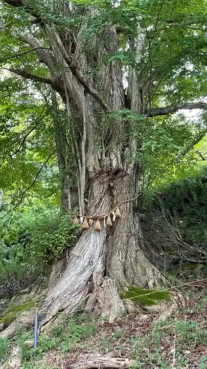登米神社(宮城県)