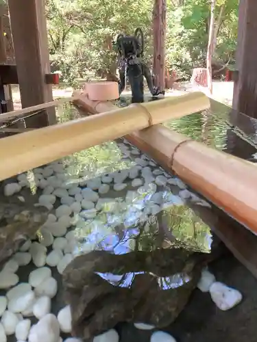 札幌護國神社の手水