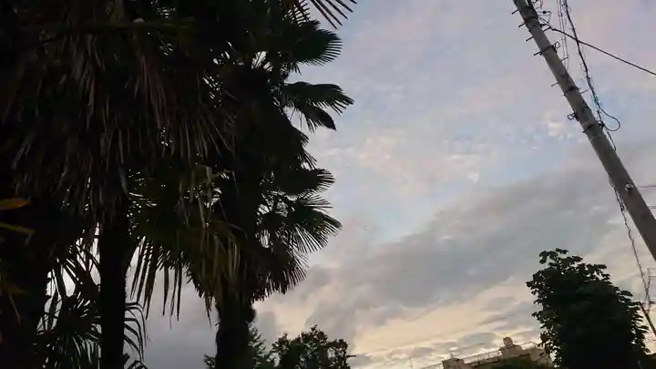 尾張大國霊神社(国府宮)の自然