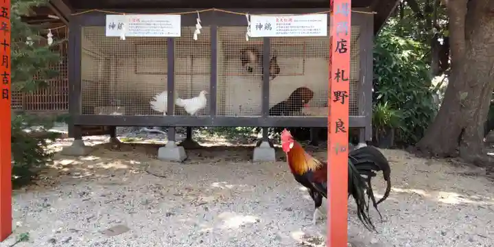 助松神社(大阪府)