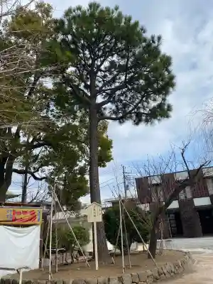 川崎大師不動堂の{uncategorized: "未分類", other: "その他", undefined: "問題あり", building: "その他建物", grave: "お墓", sacred_gate: "鳥居", guardian: "狛犬", statue: "像", buddha: "仏像", history: "歴史", nature: "自然", garden: "庭園", animal: "動物", pagoda: "塔", temizu: "手水舎", mountain_gate: "山門・神門", sanctuary: "本殿・本堂", subordinate: "末社・摂社", art: "芸術", scenery: "景色", jizo: "地蔵", ema: "絵馬", goshuin: "御朱印", omikuji: "おみくじ", items: "授与品その他", amulet: "お守り", goshuincho: "御朱印帳", eats: "食事", festival: "お祭り", votive_dance: "神楽", shichigosan: "七五三参", wedding: "結婚式", experience: "体験その他", initially: "初詣", around: "周辺", anti_infection: "感染症対策"}