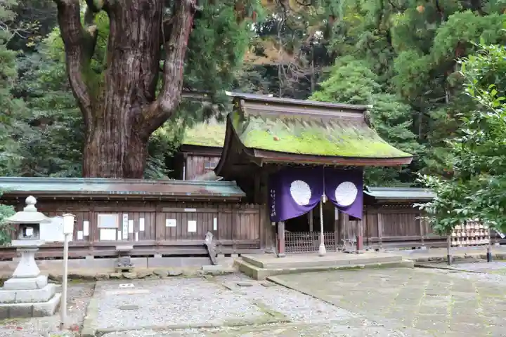 若狭姫神社(若狭彦神社下社)(福井県)