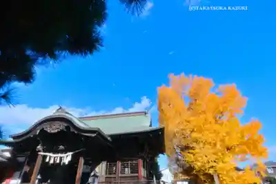 葛飾八幡宮(千葉県)
