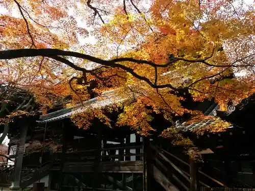 真正極楽寺（真如堂）のその他建物