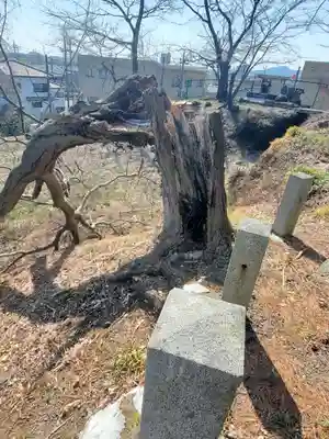 愛宕神社 (緑町)(栃木県)