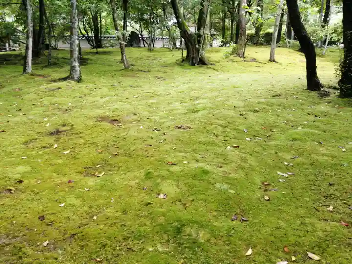 秋篠寺(奈良県)