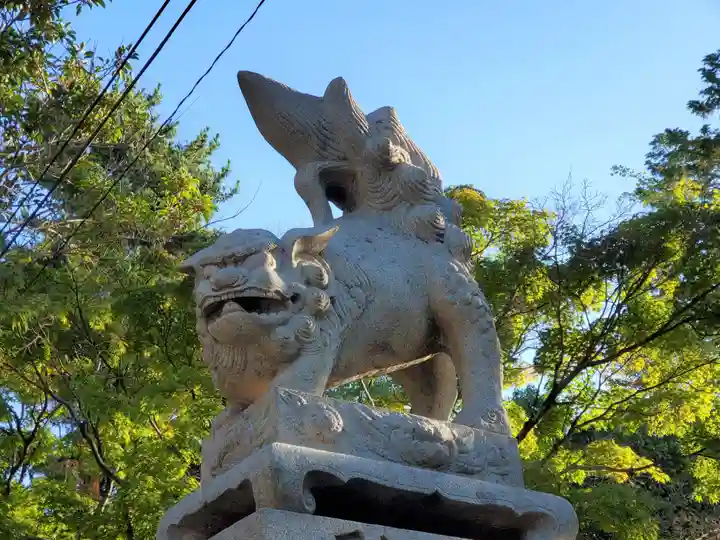 御建神社の狛犬