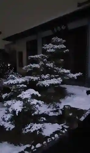 西方山極楽寺の庭園