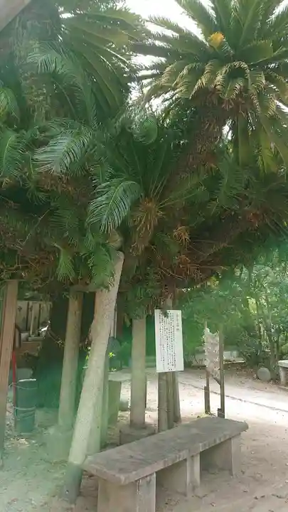 鳥飼八幡宮の自然