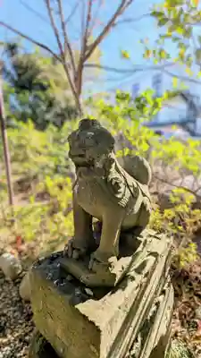 菊田神社の狛犬