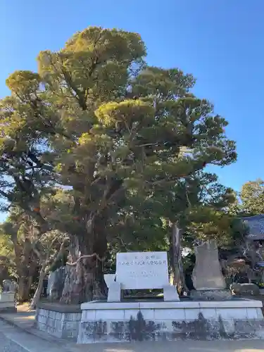 鶴谷八幡宮(千葉県)