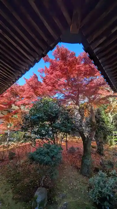 法金剛院(京都府)