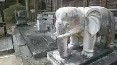 常住寺の狛犬