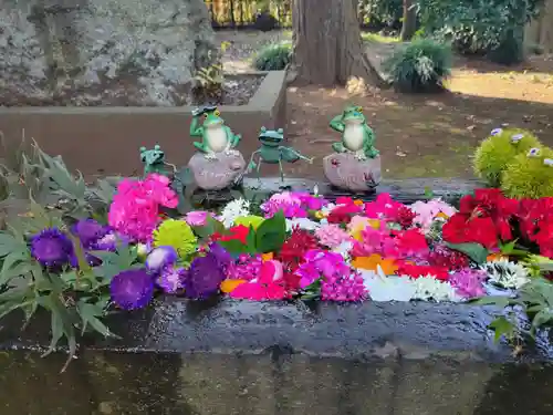 馬場氷川神社の手水