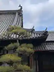 円通寺の本殿