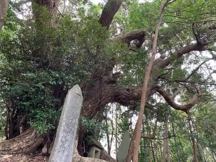浅間神社のその他建物
