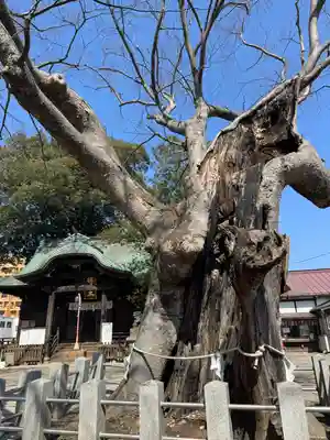 阿邪訶根神社(福島県)