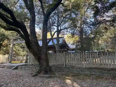 日前神宮・國懸神宮(和歌山県)