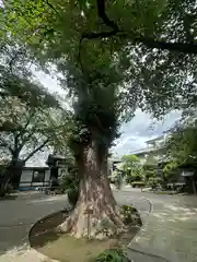 無量寺(東京都)