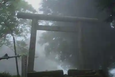 大山阿夫利神社本社(神奈川県)