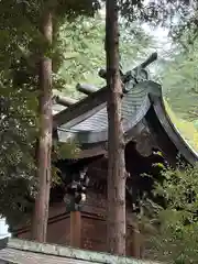 川口神社(埼玉県)