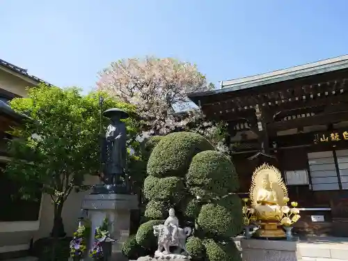 東覚寺の庭園