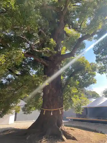 上野東照宮(東京都)