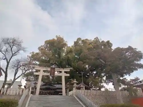 百舌鳥八幡宮(大阪府)