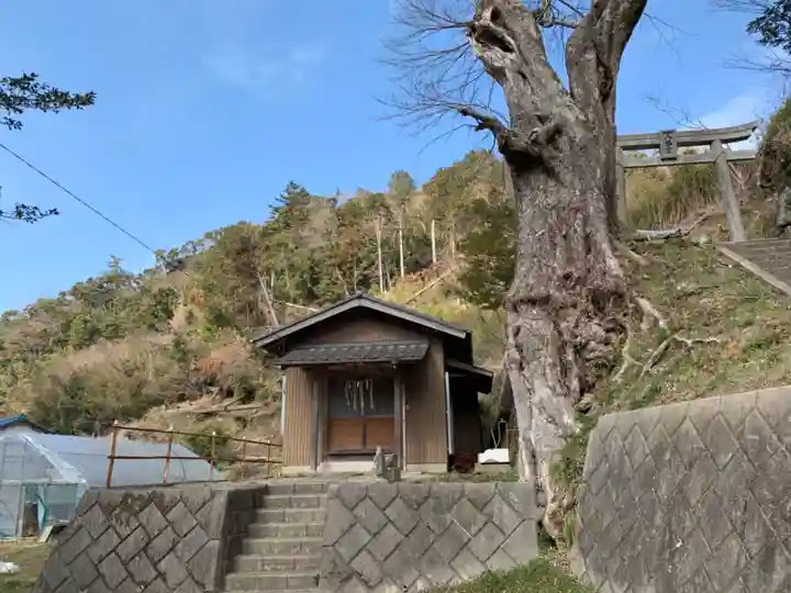 薬師如来堂の本殿・本堂